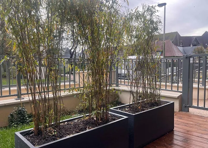 Apartment Bright In Close To The Beach! *